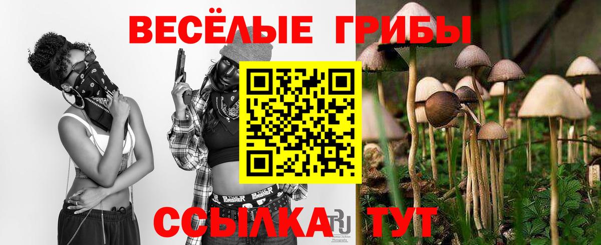 Дербент  Галлюциногенные грибы MAGIC MUSHROOMS  Галлюциногенные грибы ЛСД  Вход с VPN 